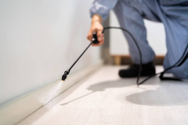 Licensed Pest Control service in Rexburg, ID - Show Me Pest Control