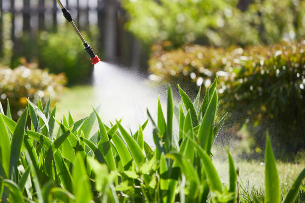 Tamper-Resistant Bait Stations for Rodents in Rexburg