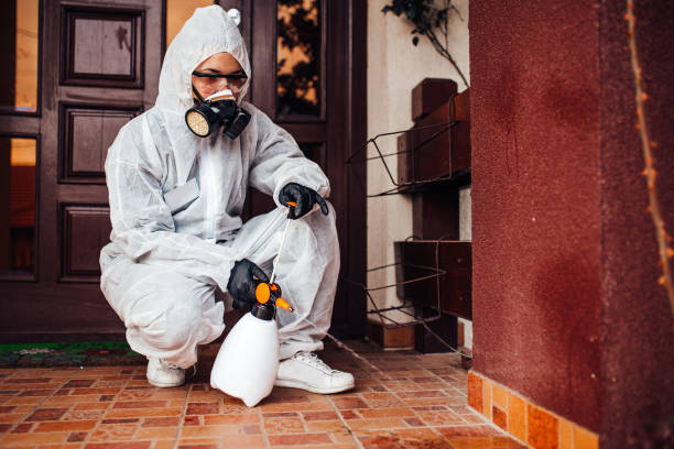 Attic and Crawl Space Rodent Treatment in Rexburg