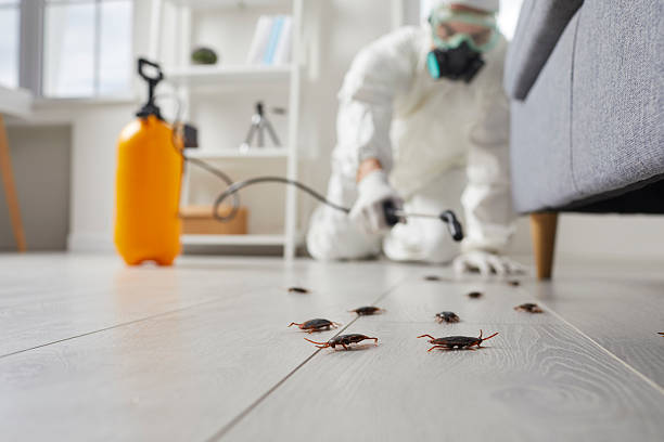 Commercial Rodent Management in Rexburg